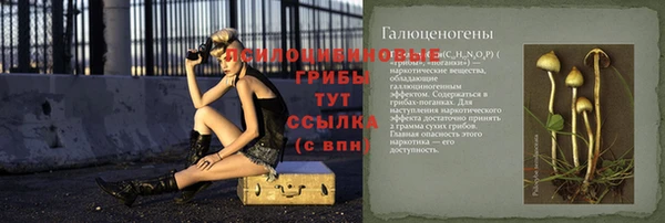 ALPHA-PVP Белокуриха