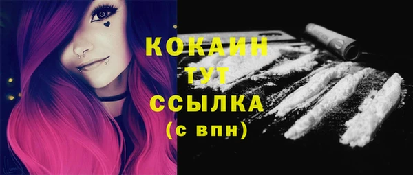 гидра Белоозёрский