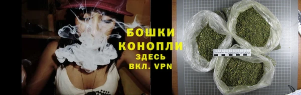 PSILOCYBIN Беломорск