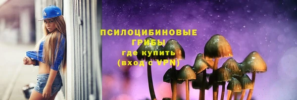 гидра Белоозёрский