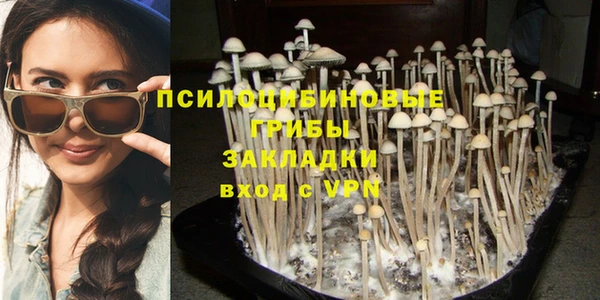 ALPHA-PVP Белокуриха