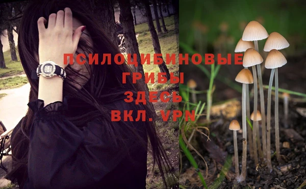 гидра Белоозёрский