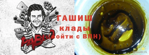 PSILOCYBIN Беломорск