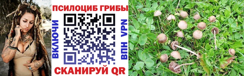 Купить где  Анадырь  Псилоцибиновые грибы ЛСД 